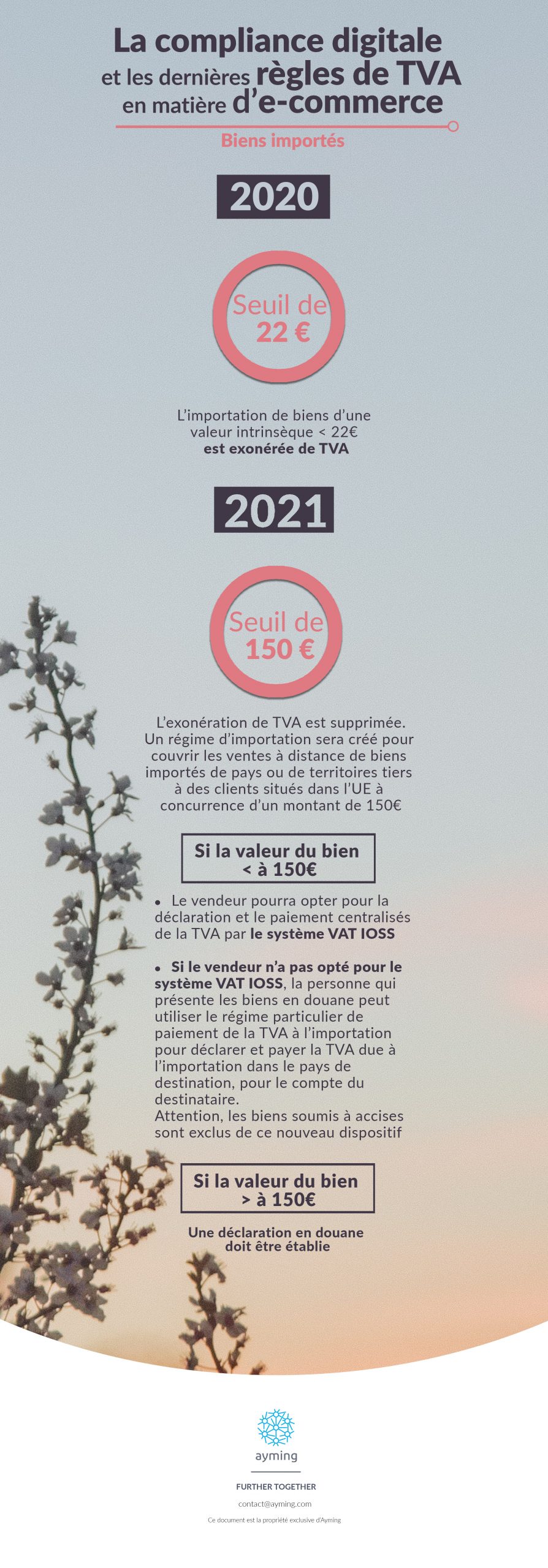 Bien importes 2020 scaled 1